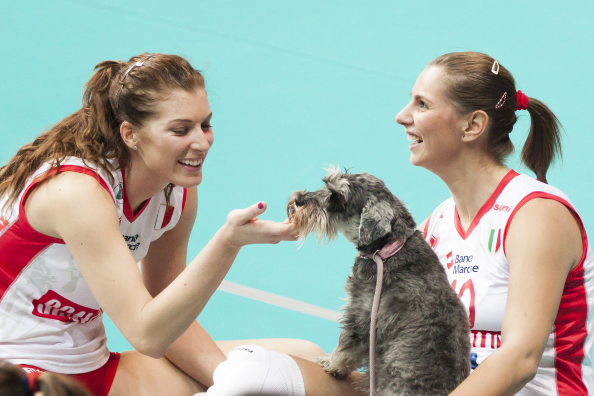 servizio-fotografico-cani-milano